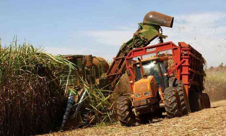Moagem de cana-de-açúcar totaliza 45,01 milhões de toneladas na 2ª quinzena de junho