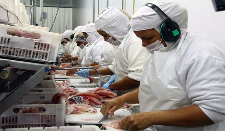 Estado quer elevar em quase 50% a produção de peixes de cultivo no Estado