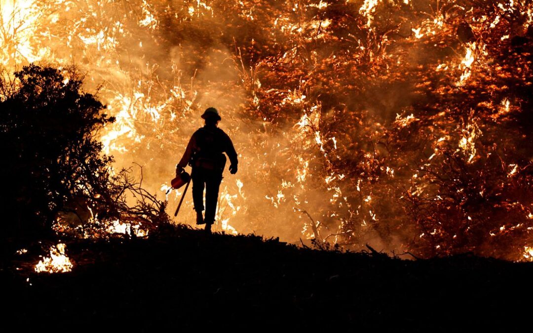 Peritos da ONU alertam para aumento de incêndios florestais