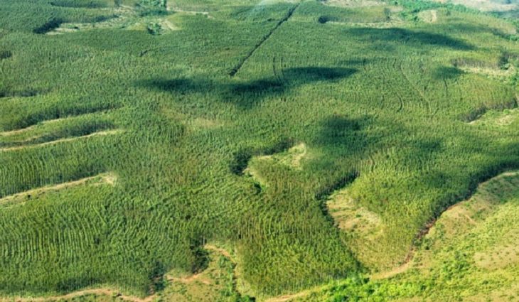 Prefeituras já podem cadastrar ações de Educação Ambiental para concorrer ao rateio do ICMS Ecológico