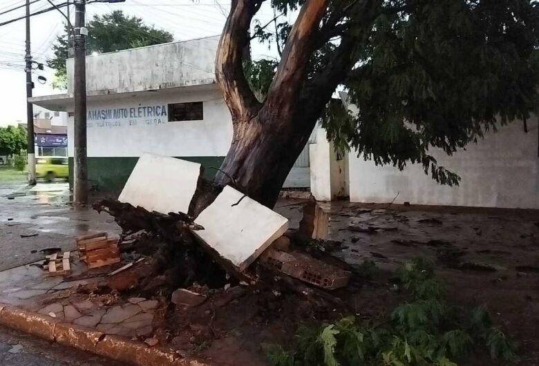 Temporal derruba árvores, causa estragos e deixa diversos pontos alagados em Dourados