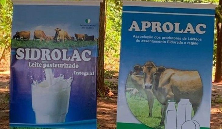 Sidrolândia: Marca de leite produzida em assentamento vai alimentar crianças de escolas no município