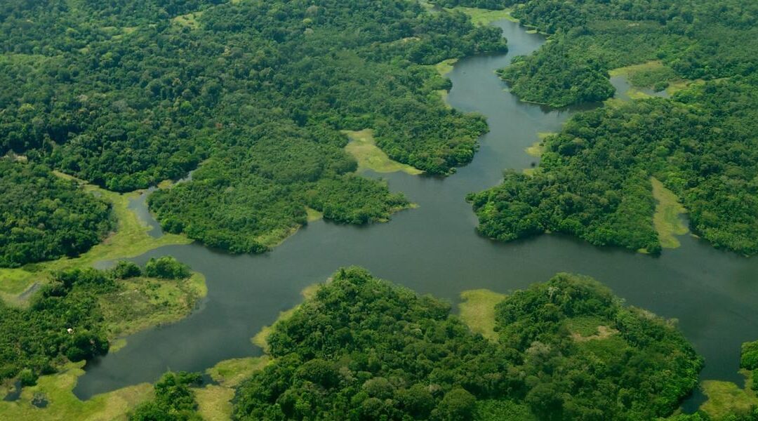 Ministério lança portal sobre ecossistema de inovação agro no país