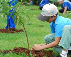 Ações de educação ambiental chegam a mais de 200 casas e comércios no Nova Campo Grande