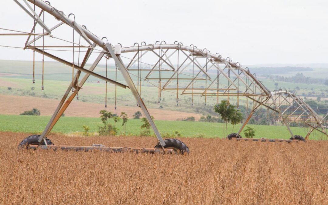 Em guerra, Rússia promete manter comércio de fertilizantes com Brasil