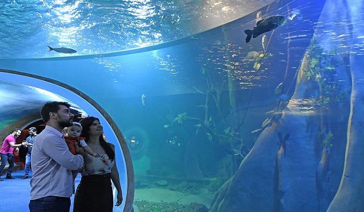Para aprimorar uma experiência única ao público, Bioparque Pantanal traça perfil dos visitantes