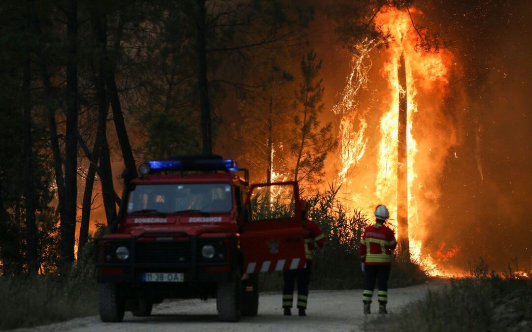Onda de calor extenuante provoca incêndios florestais na Europa