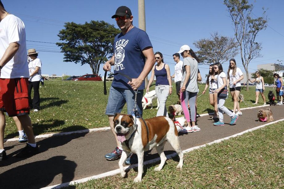 “Cãominhada” quer arrecadar ração para animais acolhidos em ONGs 