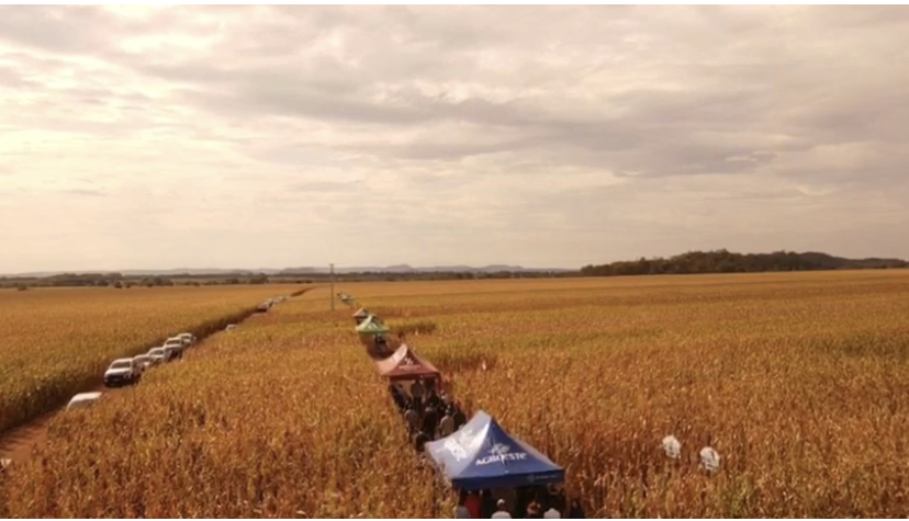 Agronegócio e legislativo de Bonito aprendendo juntos em dia de campo