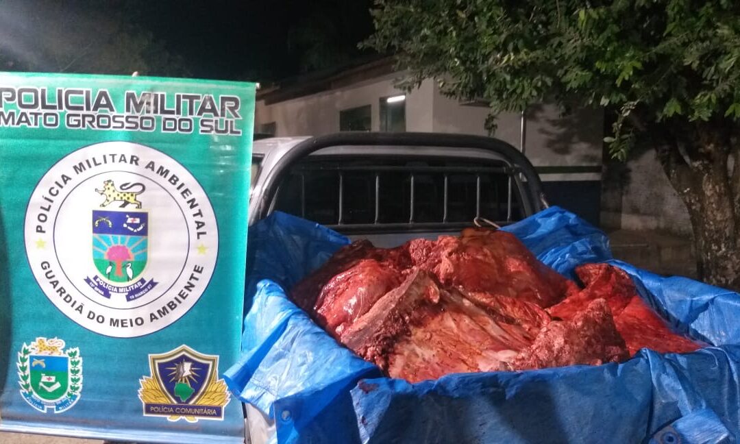 PMA Coxim prende cinco por furto e receptação de gado e apreende veículo e gado abatido