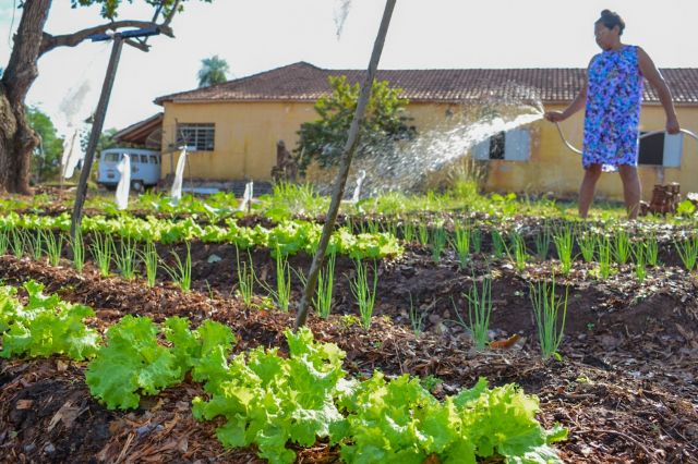 Asilo ganha horta e realiza primeiras colheitas em Aquidauana