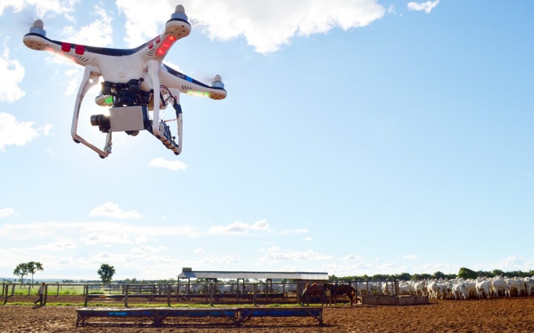 Capital tem 20 cursos rurais gratuitos de operação de drone à administração; Confira