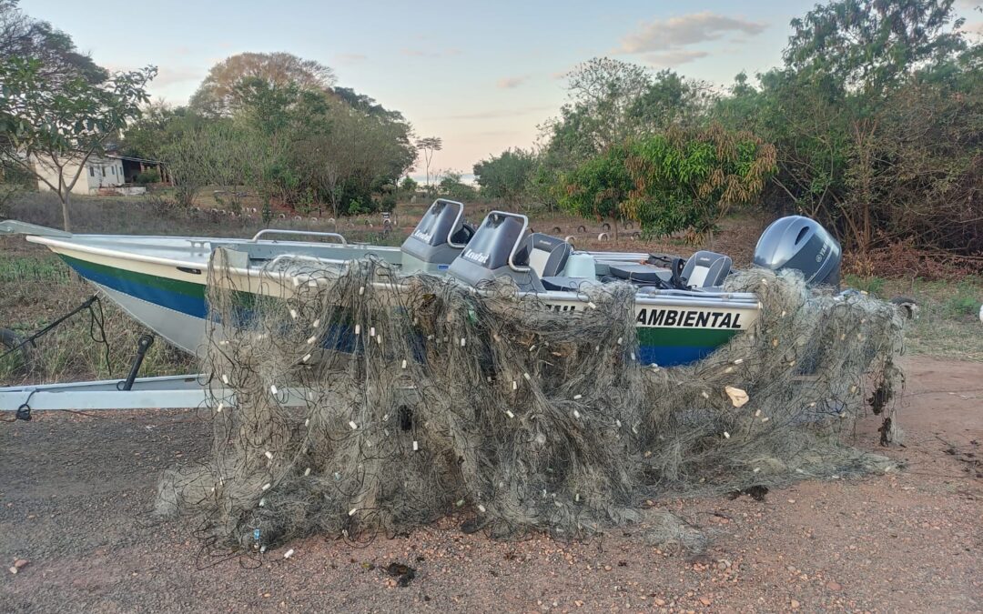 Em operação Pesca Legal PMA de Aparecida do fiscaliza, apreende e solta 40 kg de peixes em 72 horas