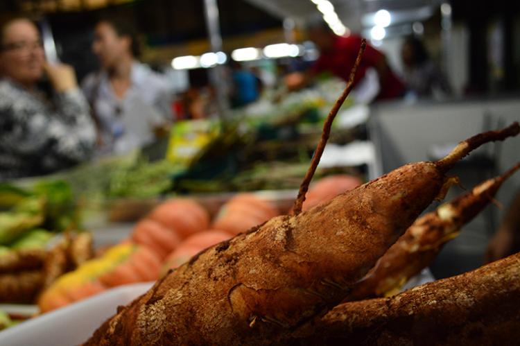 Mais de 85% dos produtos comercializados na Ceasa/MS são importados