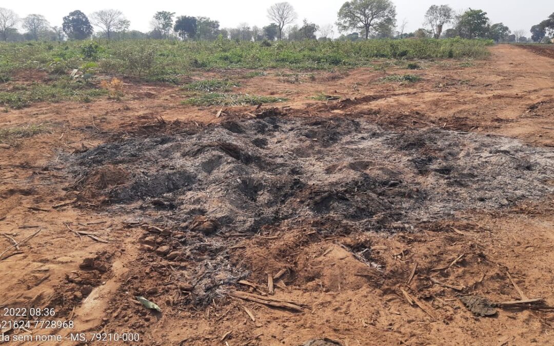 PMA do Distrito de Águas do Miranda autua infrator em R$ 4,3 mil por incendiar restos de vegetação