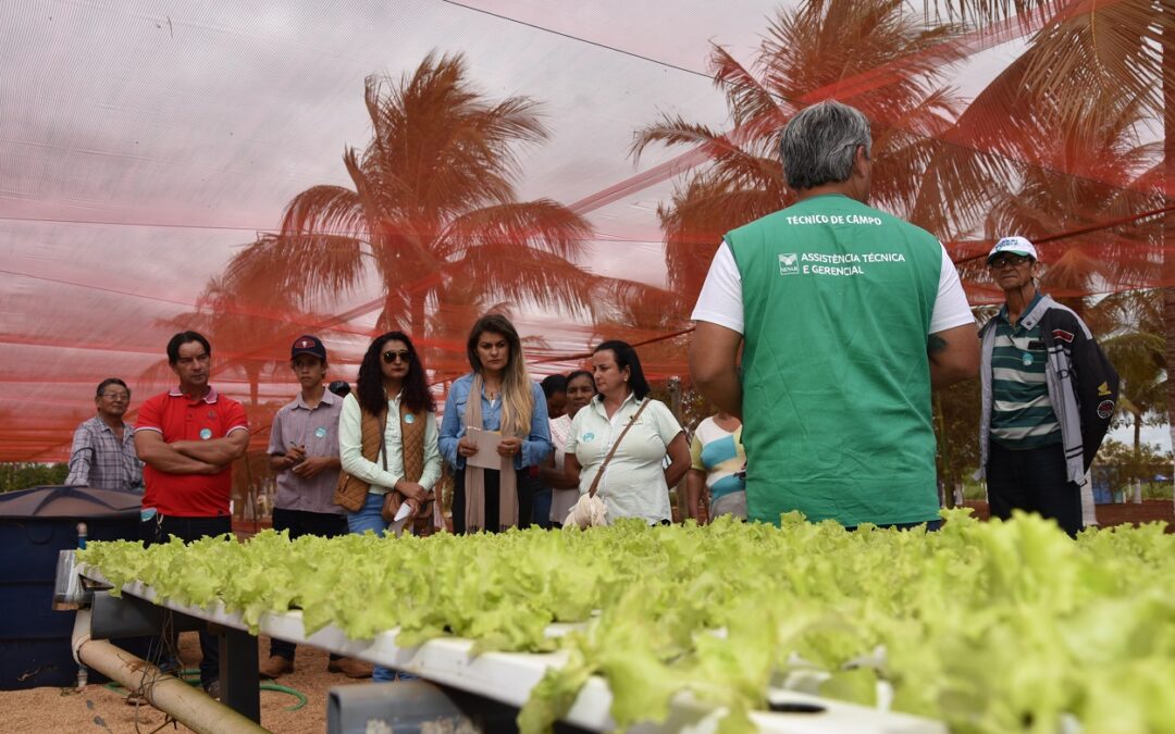 Dourados: Famasul e Senar/MS levam ações para Tecnofam 2022