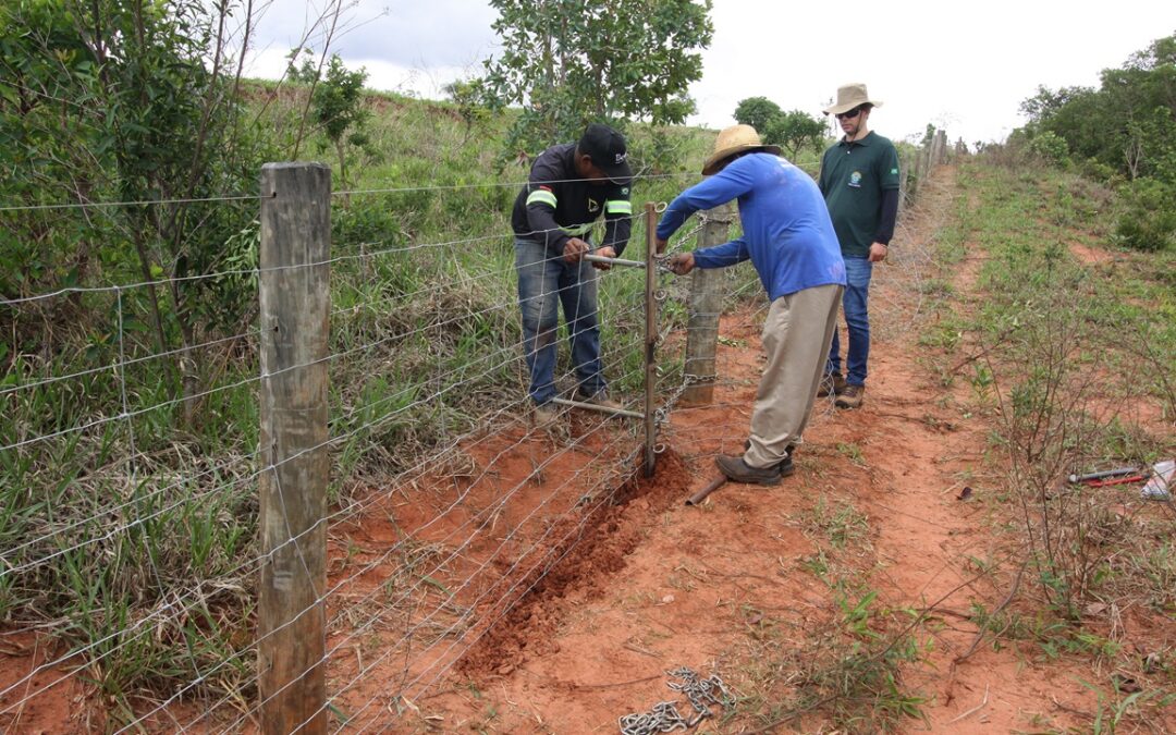 Em Bonito, MS-178 ganhará tela para proteção de animais