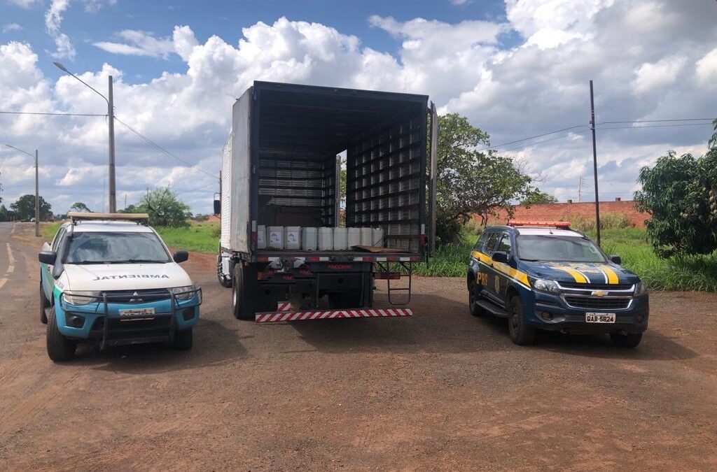 PMA de Aparecida do Taboado autua em R$ 20,8 mil infrator preso pela PRF com 3.160 litros de agrotóxico falso