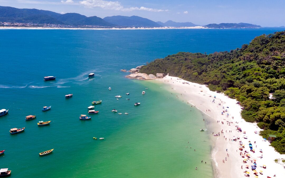 Empresa aérea  anuncia voo direto de Campo Grande a Florianópolis neste verão