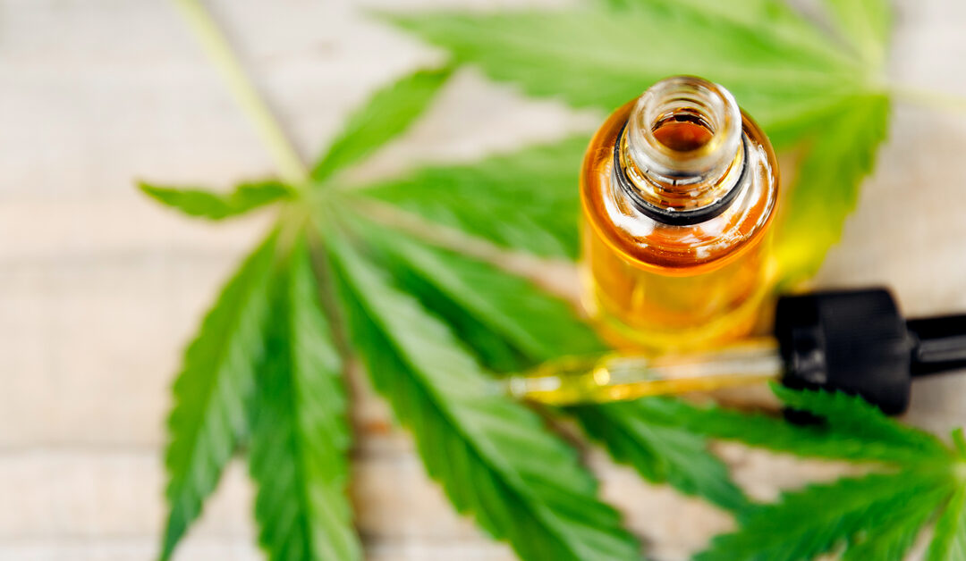 CFM publica nova norma sobre prescrição de canabidiol no Brasil