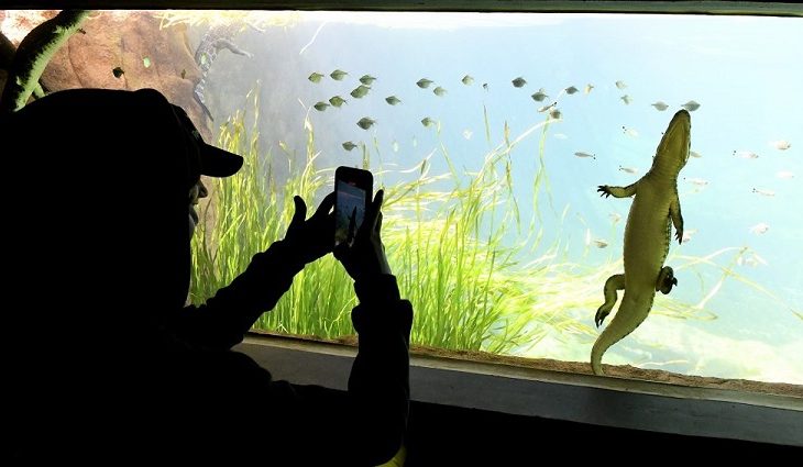 Agendamento para visita no Bioparque durante Carnaval começa nesta segunda-feira