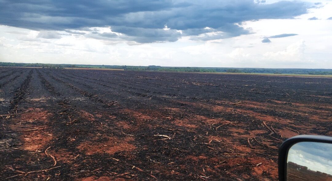 PMA de Dourados autua usina sucroenergética de Rio Brilhante em R$ 163 mil por incêndio em area de plantio de cana-de-açúcar 