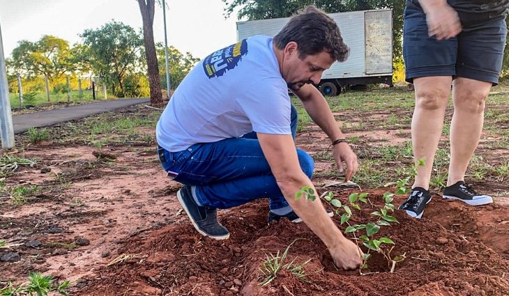 Campo Grande terá o primeiro pomar urbano de guavira do Brasil