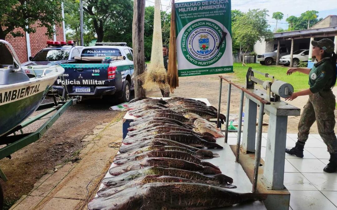 PMA autua 240 pessoas e apreende uma tonelada de pescado