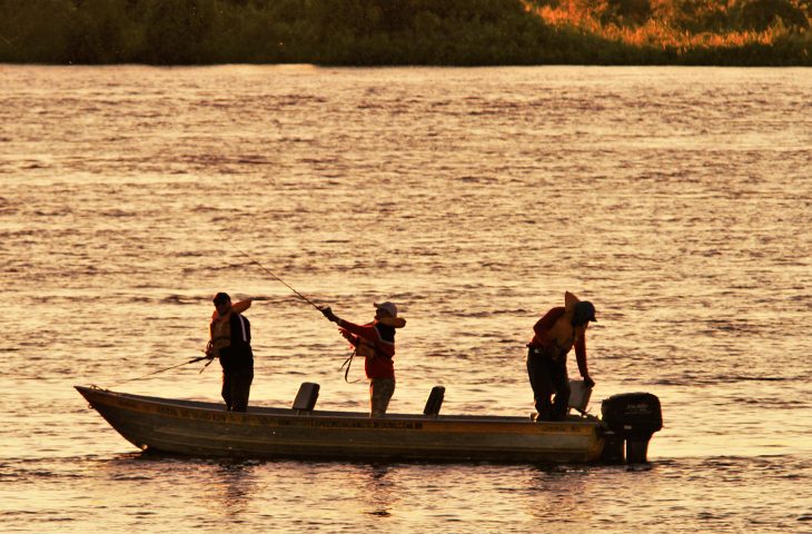 Corumbá: Atração turística, pesque e solte abre temporada da pesca esportiva em MS