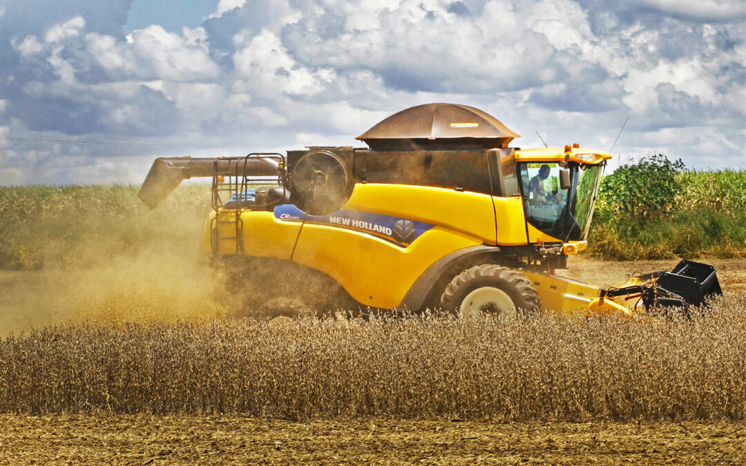 MS foi o terceiro estado do Brasil que mais gerou vagas no agronegócio