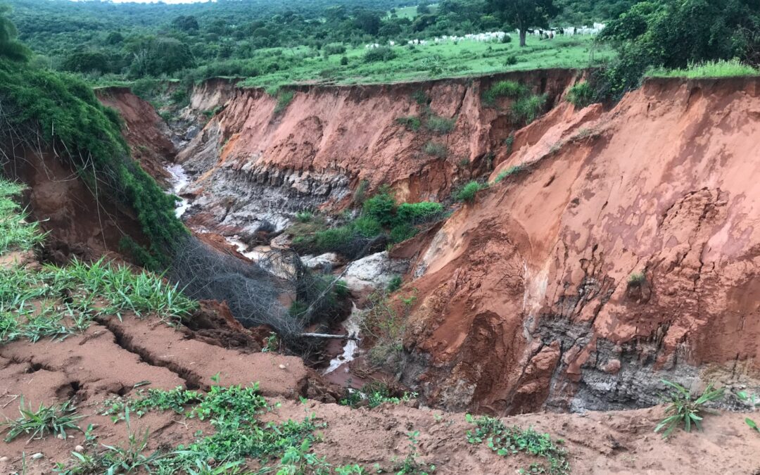 PMA de São Gabriel autua paranaense em R$ 50 mil devido a voçoroca de mais de 300 metros de comprimento em área protegida