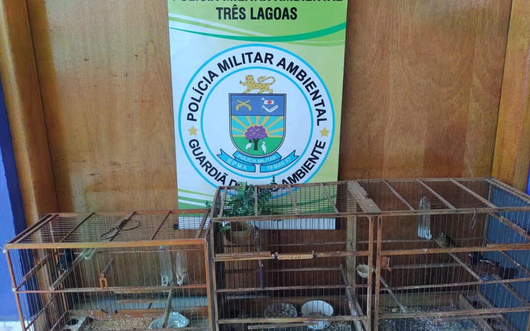 PMA de Três Lagoas autua infrator em R$ 1,5 mil por manter pássaros silvestres ilegalmente em cativeiro