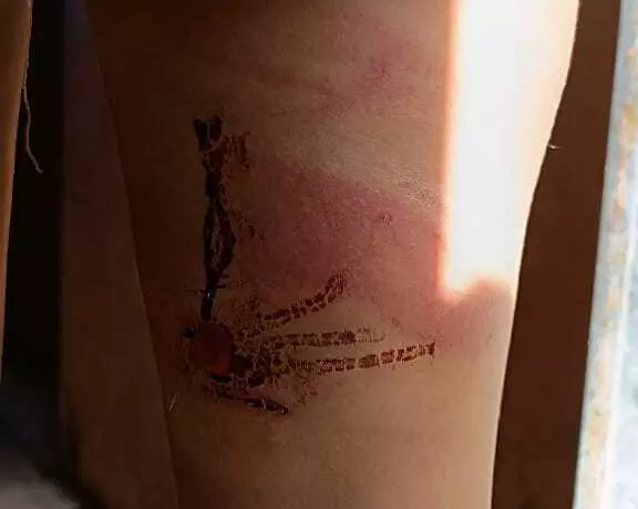Porto Murtinho: Sessões de tortura com ferro quente, enforcamento e estupro era o que sofriam mãe e filha de 12 anos