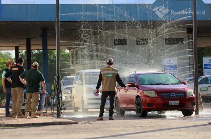 Vigilância contra influenza aviária garante produção segura para MS