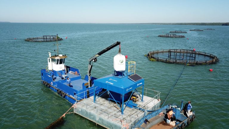 Segundo maior exportador de tilápias, MS foca na piscicultura para ampliar rol de proteínas animais