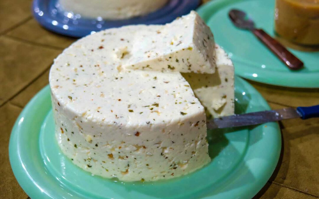 Rochedinho: Festa do Queijo terá mais de 40 produtores, ciclistas e atrações musicais