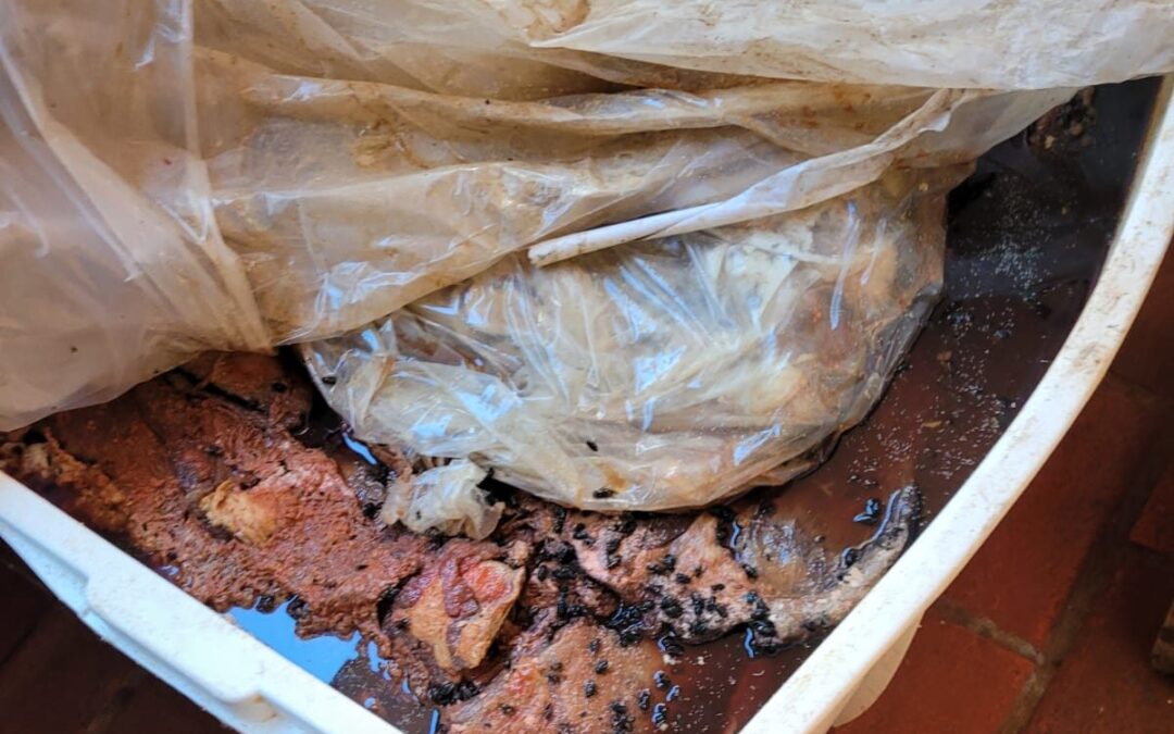 Ponta Porã: Polícia Civil aprende alimentos impróprios para consumo