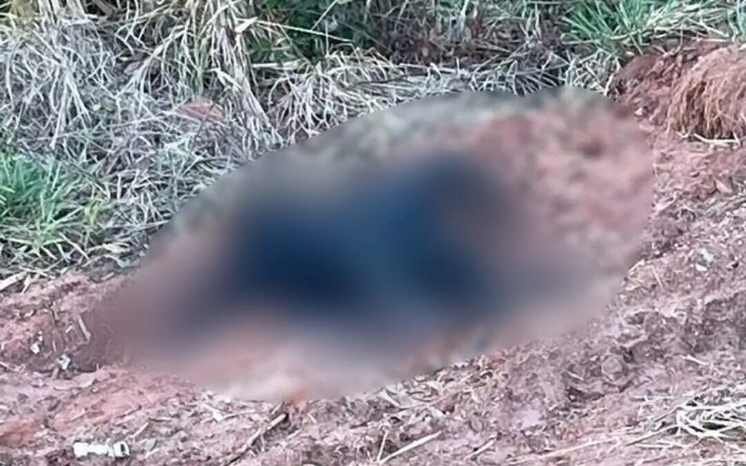 Corpo encontrado carbonizado em Três Lagoas é de jovem de 21 anos