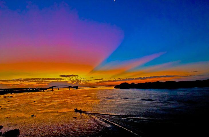 Lei do Pantanal é aguardada com expectativa e será elaborada com participação social