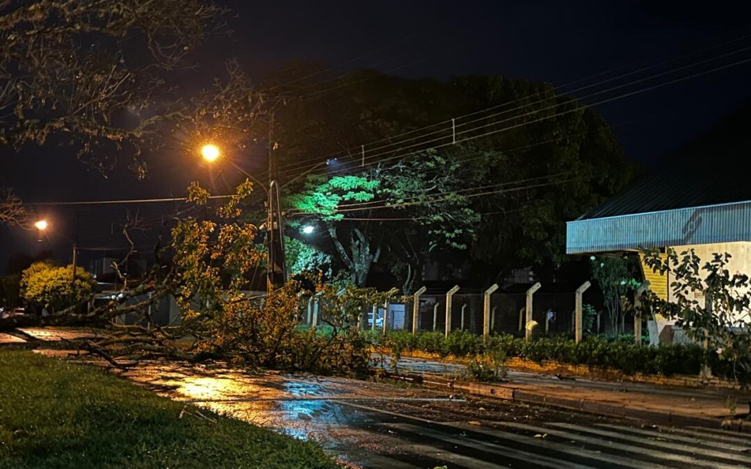 Chuva com fortes ventos derruba árvores e deixa bairros de Dourados sem energia