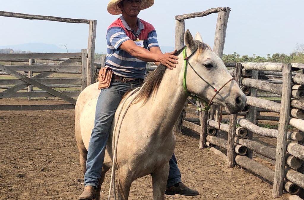 Senar/MS oferece cursos gratuitos de adestramento e doma racional de cavalos