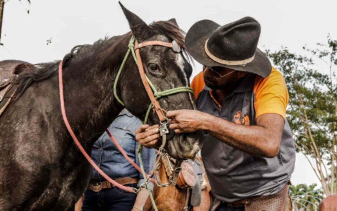 Afonso Pena vira ‘arena’ com cavalgada e exposição de animais do circuito de laço comprido