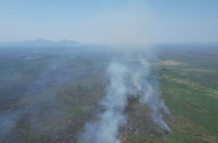 Bombeiros combatem três novos focos de incêndio no Pantanal em MS