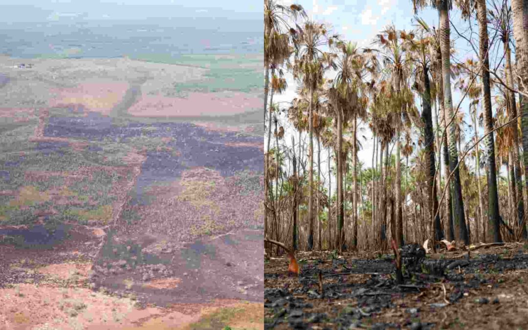 Incêndio em Bonito já consumiu 357 hectares e aeronave deve reforçar combate às chamas nesta quinta