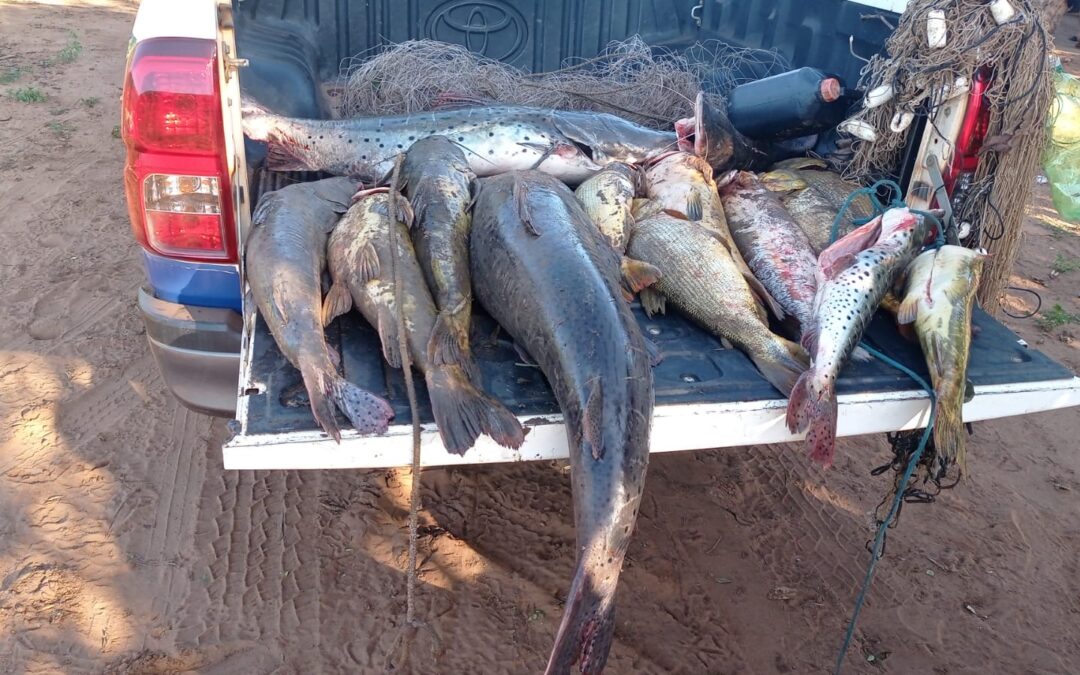 Durante Operação Piracema, PMA de Jardim prende homens por pesca predatória