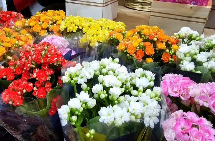 Flores e velas podem ter variação de preços de até 208% no Dia de Finados