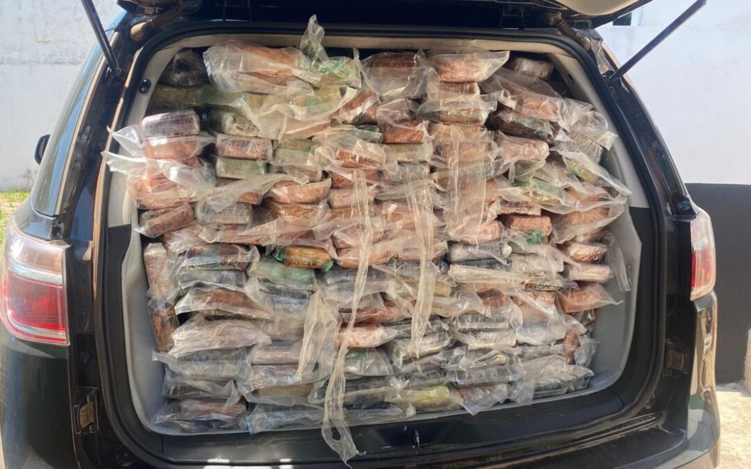 Miranda: Polícia Civil incinera 791 kg de drogas apreendidas