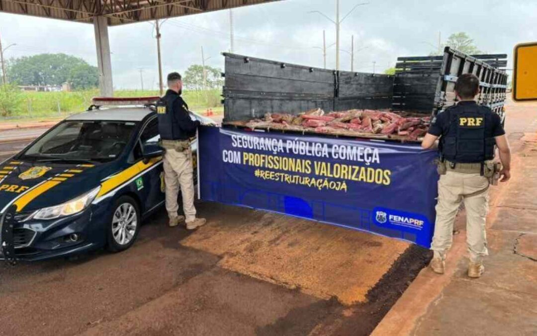 PRF apreende 335 kg de maconha em caminhão que seguia para Dourados
