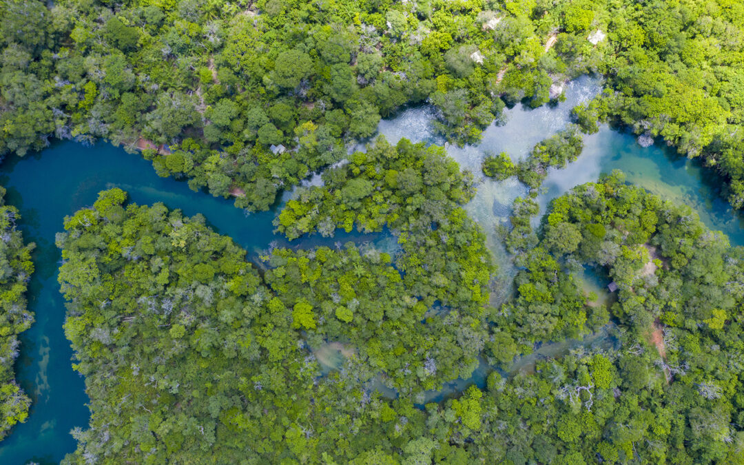 Rota Pantanal Bonito integra projeto vencedor do Prêmio do Turismo