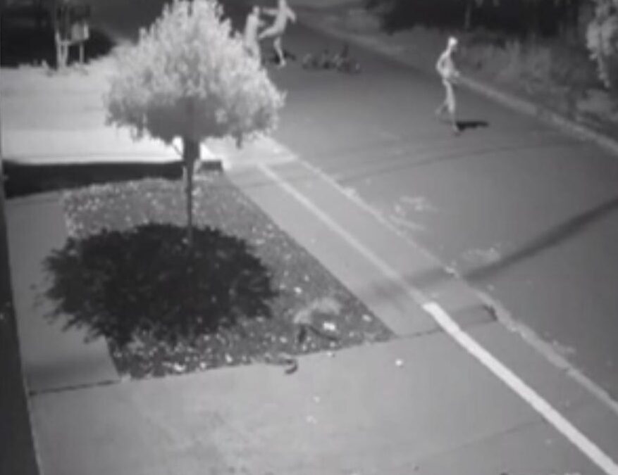 Dourados: Homem que agrediu idoso para roubar celular é preso pela Polícia Civil